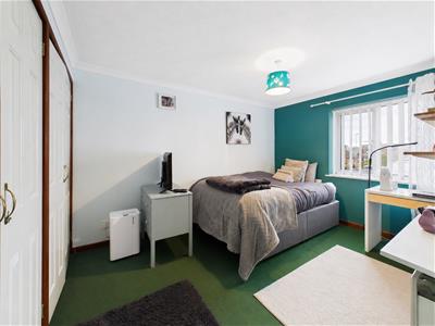 Picture 11